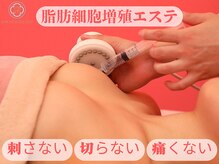 サラエクセレント 銀座