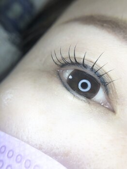 シェリ(SHERI)/まつ毛パーマ【ブラザーロット】