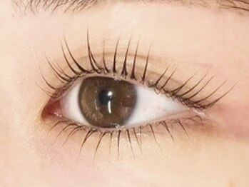 エイトアイラッシュ たまプラーザ店(eight eyelash)/上下ラッシュリフト