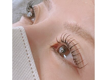 ココシア(cococia)の写真