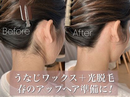 シェリー(Cherie)の写真