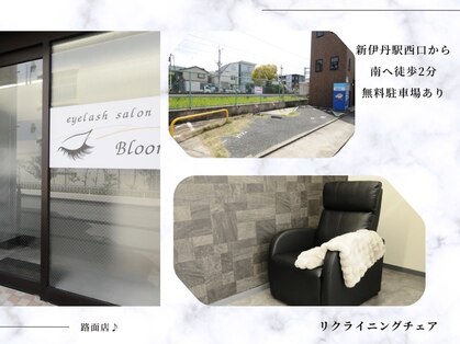 ブルーム(Bloom)の写真