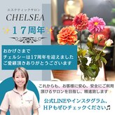 チェルシーロイヤルエステティックサロン(CHELSEA)