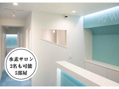 スースゥ(SUSU)の写真