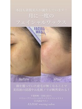 エリス(ELISSE)/フェイシャルワックス