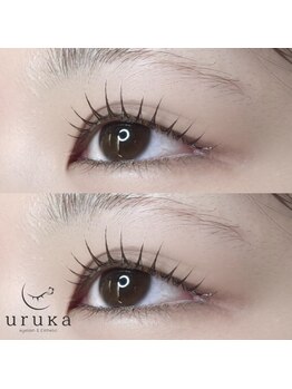 ウルカ 小田原店(uruka)/ラッシュリフト