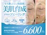 【10限定】即実感!ザラつき黒ずみ毛穴徹底改善【ハーブピーリング】