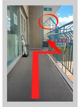 ダリア(DAHLIA)/道案内（2）