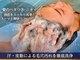 海ここちの写真