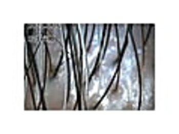 エルール トータルビューティ(Aileure total beauty)/育毛促進ケア　