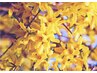 新導入☆まつ毛パーマ×マツエク｛＆Healthy｝100本　¥18,500→