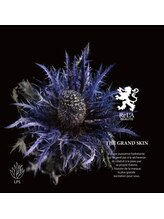 エステティックサロンアネラ(Anela)/ＧＲＡＮＤ　ＳＫＩＮ　シリーズ