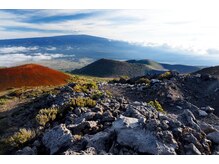 ハワイアンフォレストSpa 福岡天神店/マウナ・ロア山