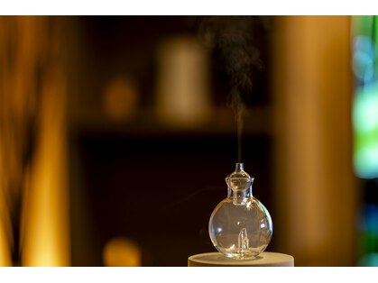 ペガサスのうたた寝の写真