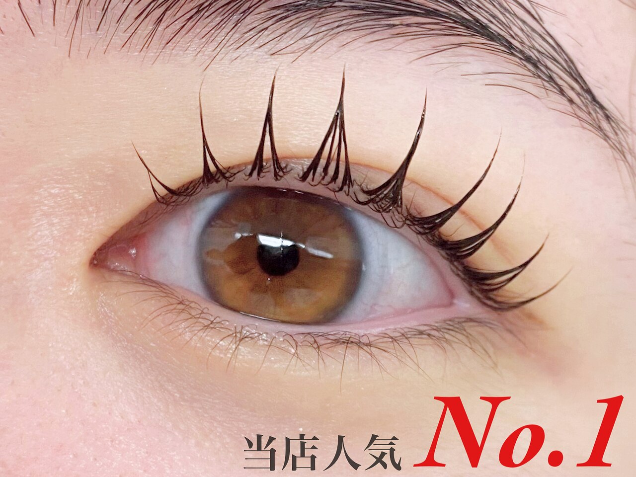 人気No.1♪韓ドル【束感まつげパーマ】コーティング仕上げ付き