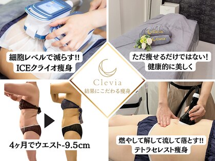 クレビア(Clevia)の写真