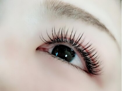 Chigusa 千草の写真