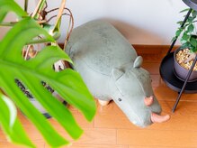 フロー(Flow)の雰囲気（観葉植物とかわいいディスプレイで癒されてください＾＾）