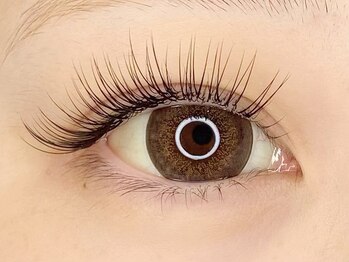 シェーヌ(CHAINE)/フラットセーブル 100本