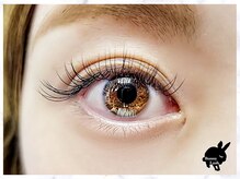 バニーラッシュ(Bunny Lash)/【シングルエクステ　100本】