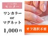 《※要詳細確認》研修生モニターワンカラーorマグネット1000円