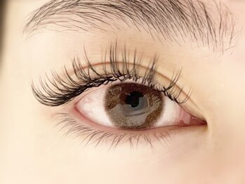 プレモ(Premo)/バインドロック120束