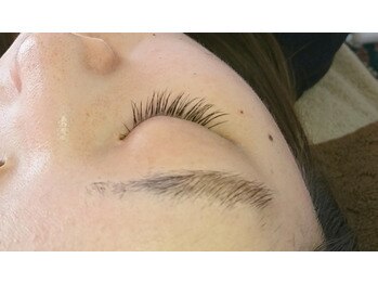 ラクトゥール(Lacteur)/セーブル80本◆品よく