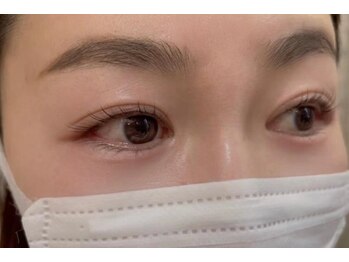 ワンダー(WONDER)/上下パリジェンヌラッシュ