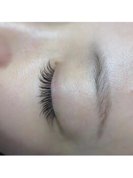 ビーアンドジー(B&G)/フラットラッシュ160本