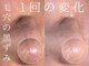ルーツリー(Rootree)の写真