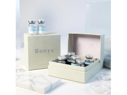 ミモザ(mimosa)の写真