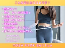 ヨサパーク ビリュウ(YOSA PARK Bellyu)