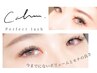 【ボリュームEYE☆】　パーフェクトラッシュ160～200本 ¥8800→¥6600～