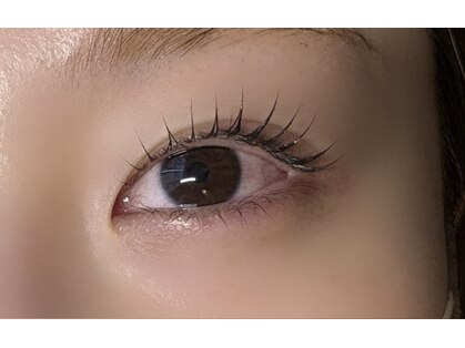 ダオン(Daon)の写真