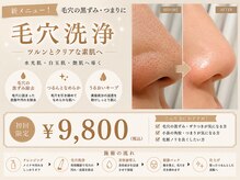 ビズビズ(bizz bizz)の雰囲気(毛穴洗浄/フェイスワックス/HBL/ハーブピーリング/オンダリフト)