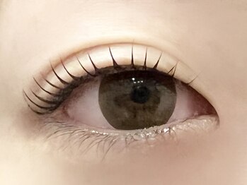 パキラ(Pachira)/人気上昇中まつ毛パーマ