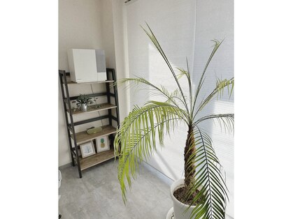 カナロア(Kanaloa)の写真