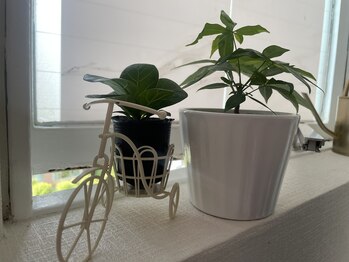 ダイヤモンドビューティー(DIAMOND BEAUTY)/緑あふれる極上の空間