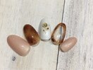 定額デザインコース￥6100