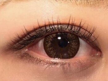 トゥディズ(Today's)/フラットラッシュ　100本￥7630