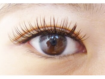 テイラー(Taylor)/ブラウンフラット140本 SONE