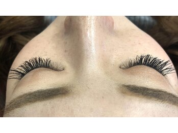 シルフ 石橋店(Sylph)/カシミヤ180本