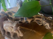 アジアンリラクゼーション ヴィラ 二子玉川店(asian relaxatin villa)/植物の影には