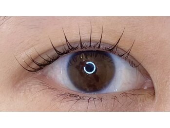 アイラッシュプラン メル 高槻JR駅前店(eyelash plan Mel)/潤いまつ毛パーマ
