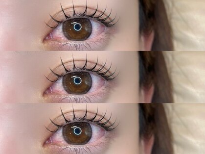 ブルーミー(Bloomy)の写真