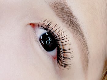 ウィキラ(WIKIRA)/フラットラッシュ180本