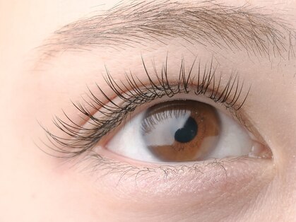 ランベリー(Lan'berry)の写真