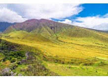 ハワイアンフォレストSpa 福岡天神店/ウェスト・マウイ山地