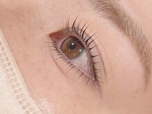 ブリッジバイネオリーブ 綱島店(bridge by neolive)/まつ毛パーマ上下