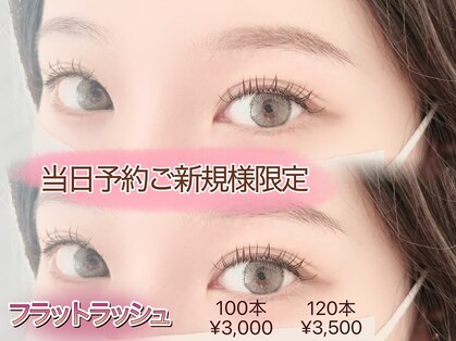 フェリマ ナナ(felyma vii)の写真